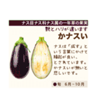 架空野菜果物図鑑（個別スタンプ：37）