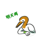 キルコ鳥（個別スタンプ：2）