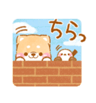 ❤️シマエナガといやしばいぬ❤️柴犬/敬語（個別スタンプ：24）