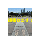 Japan 良いね！（個別スタンプ：5）