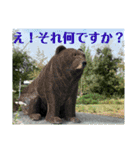 Japan 良いね！（個別スタンプ：10）