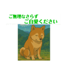 Japan 良いね！（個別スタンプ：14）