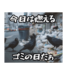 ゴミカラス（個別スタンプ：6）