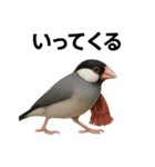 リアルな文鳥の日常表現LINEスタンプ（個別スタンプ：3）