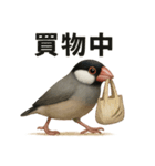 リアルな文鳥の日常表現LINEスタンプ（個別スタンプ：15）