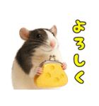 ファンシーラットの日常（個別スタンプ：1）