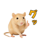 ファンシーラットの日常（個別スタンプ：5）