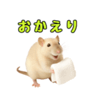 ファンシーラットの日常（個別スタンプ：6）