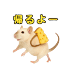 ファンシーラットの日常（個別スタンプ：7）
