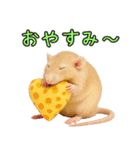 ファンシーラットの日常（個別スタンプ：8）