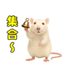 ファンシーラットの日常（個別スタンプ：14）