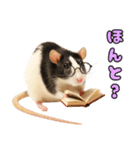 ファンシーラットの日常（個別スタンプ：25）