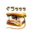 ファンシーラットの日常（個別スタンプ：26）