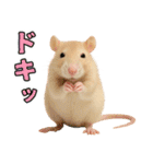 ファンシーラットの日常（個別スタンプ：30）