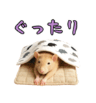 ファンシーラットの日常（個別スタンプ：32）