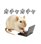 ファンシーラットの日常（個別スタンプ：34）