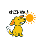 茶色犬キャラクター風スタンプ（個別スタンプ：18）