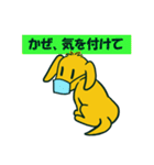 茶色犬キャラクター風スタンプ（個別スタンプ：29）