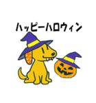 茶色犬キャラクター風スタンプ（個別スタンプ：31）