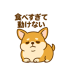 のんびりチワワスタンプ（個別スタンプ：1）