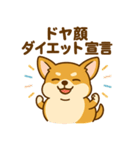 のんびりチワワスタンプ（個別スタンプ：2）