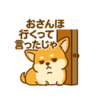 のんびりチワワスタンプ（個別スタンプ：6）