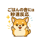 のんびりチワワスタンプ（個別スタンプ：8）