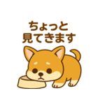 のんびりチワワスタンプ（個別スタンプ：12）