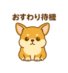のんびりチワワスタンプ（個別スタンプ：13）