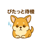 のんびりチワワスタンプ（個別スタンプ：15）