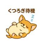 のんびりチワワスタンプ（個別スタンプ：16）