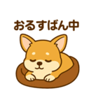 のんびりチワワスタンプ（個別スタンプ：19）