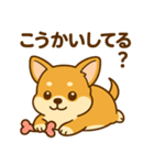 のんびりチワワスタンプ（個別スタンプ：20）