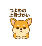 のんびりチワワスタンプ（個別スタンプ：21）