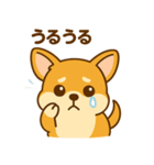 のんびりチワワスタンプ（個別スタンプ：23）