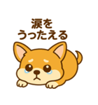 のんびりチワワスタンプ（個別スタンプ：24）