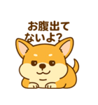 のんびりチワワスタンプ（個別スタンプ：26）