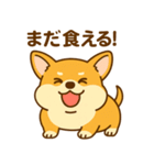 のんびりチワワスタンプ（個別スタンプ：28）