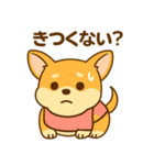 のんびりチワワスタンプ（個別スタンプ：30）