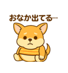 のんびりチワワスタンプ（個別スタンプ：31）