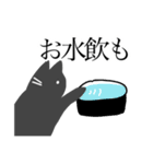 崩壊した夏と黒猫様と人間（個別スタンプ：5）