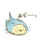 夏のインコたち（個別スタンプ：3）