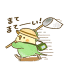 夏のインコたち（個別スタンプ：12）