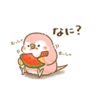 夏のインコたち（個別スタンプ：14）