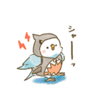 夏のインコたち（個別スタンプ：21）
