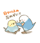 夏のインコたち（個別スタンプ：24）