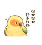 夏のインコたち（個別スタンプ：26）