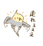 夏のインコたち（個別スタンプ：27）