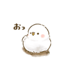 夏のインコたち（個別スタンプ：32）