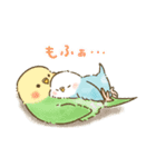 夏のインコたち（個別スタンプ：37）